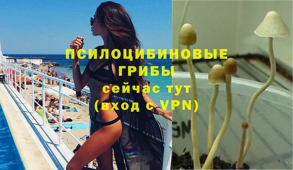 spice Верея