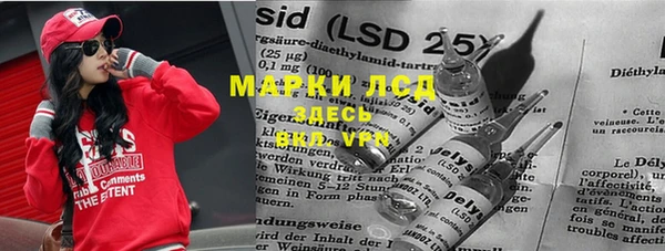 spice Верея